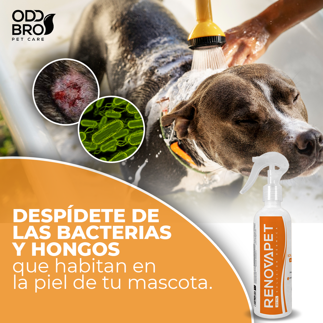 🐶Línea Cuidado Mascotas - Adiós Sarro, Dermatits y Lagrimeo Excesivo 😍